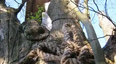 鵜川神社のその他建物