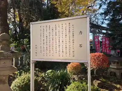 白岡八幡神社(埼玉県)