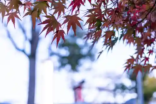生島足島神社(長野県)