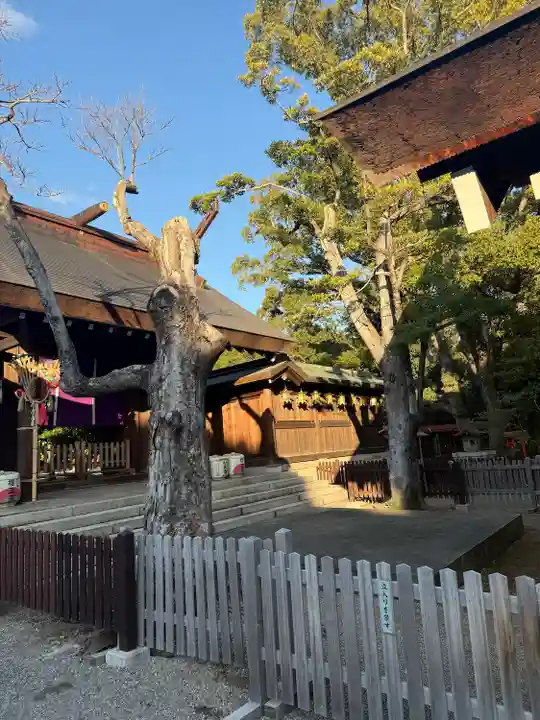 和泉國一之宮 大鳥大社(大阪府)