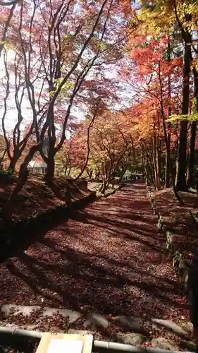 鶏足寺の自然