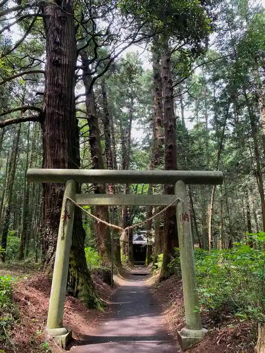 青山神社の鳥居