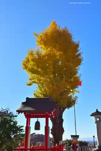 足利織姫神社(栃木県)