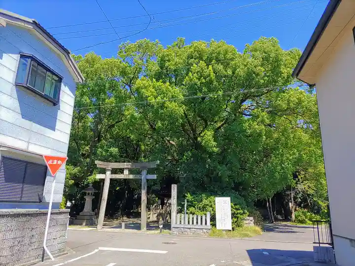 清洲山王宮 日吉神社の自然