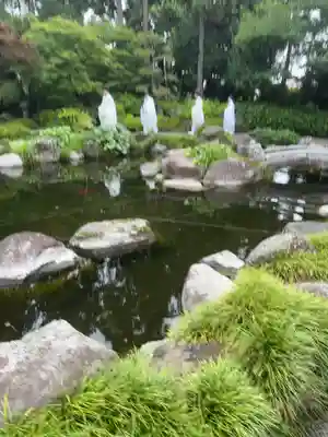 亀ケ池八幡宮(神奈川県)