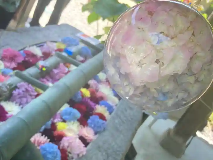 岡寺(龍蓋寺)(奈良県)