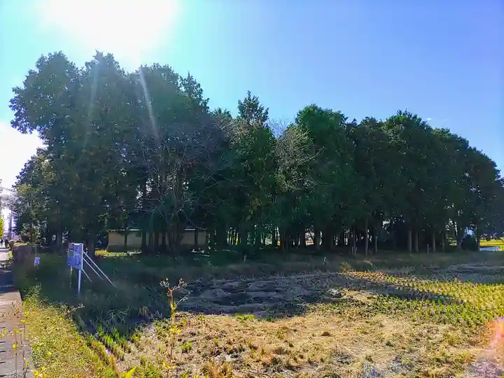 鳴海杻神社の自然