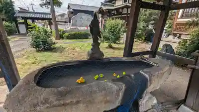 誕生寺(京都府)