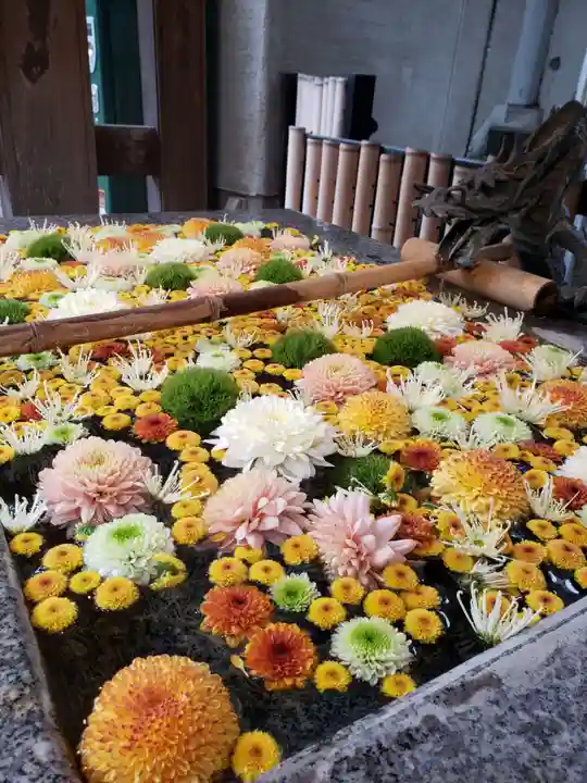 高円寺氷川神社(東京都)