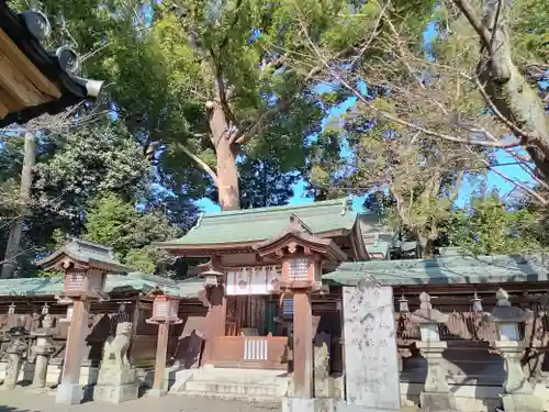 櫻井神社(大阪府)