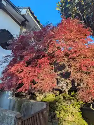 成願寺(東京都)