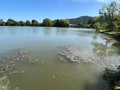 大覚寺(京都府)