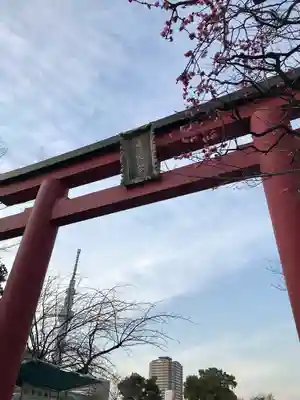 亀戸天神社の鳥居
