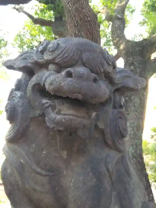 橘樹神社(神奈川県)