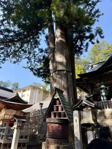 三峯神社(埼玉県)