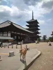 興福寺の動物