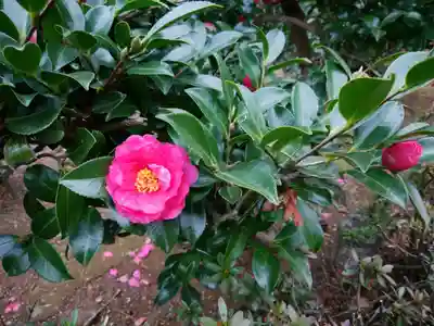 成田山新勝寺(千葉県)