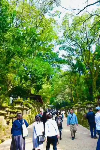 春日大社の{uncategorized: "未分類", other: "その他", undefined: "問題あり", building: "その他建物", grave: "お墓", sacred_gate: "鳥居", guardian: "狛犬", statue: "像", buddha: "仏像", history: "歴史", nature: "自然", garden: "庭園", animal: "動物", pagoda: "塔", temizu: "手水舎", mountain_gate: "山門・神門", sanctuary: "本殿・本堂", subordinate: "末社・摂社", art: "芸術", scenery: "景色", jizo: "地蔵", ema: "絵馬", goshuin: "御朱印", omikuji: "おみくじ", items: "授与品その他", amulet: "お守り", goshuincho: "御朱印帳", eats: "食事", festival: "お祭り", votive_dance: "神楽", shichigosan: "七五三参", wedding: "結婚式", experience: "体験その他", initially: "初詣", around: "周辺", anti_infection: "感染症対策"}