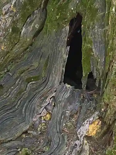 大神神社(奈良県)
