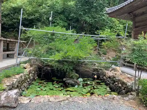 明石寺の庭園