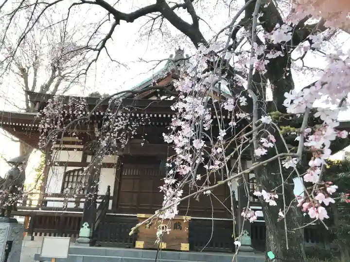 金蔵院の本殿・本堂