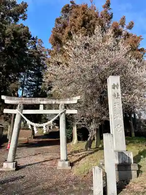 天満宮(栃木県)