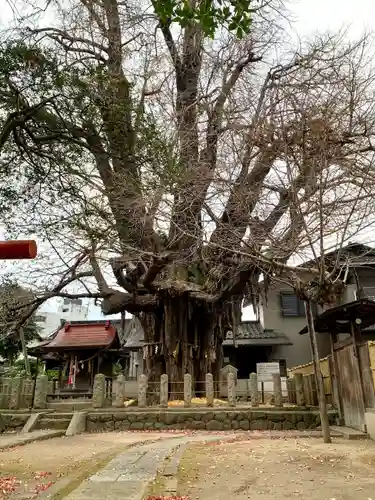 姥神神社(宮城県)