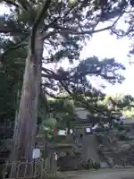 天恩寺(愛知県)