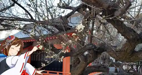 花園神社の自然