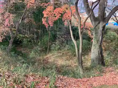 武田神社(山梨県)