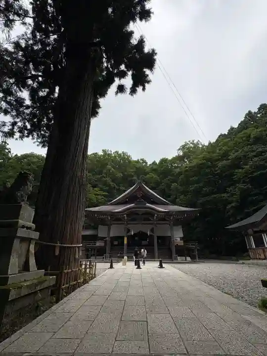 戸隠神社中社(長野県)