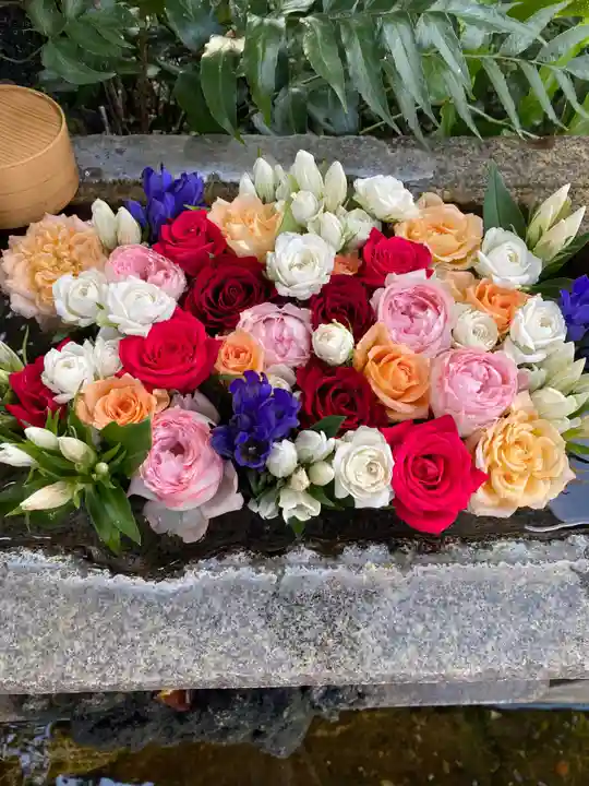 本郷氷川神社(東京都)