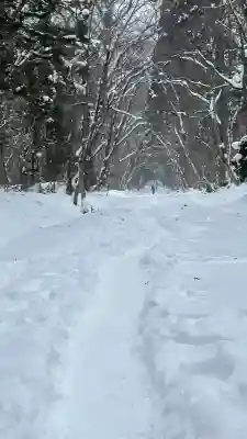 戸隠神社奥社(長野県)