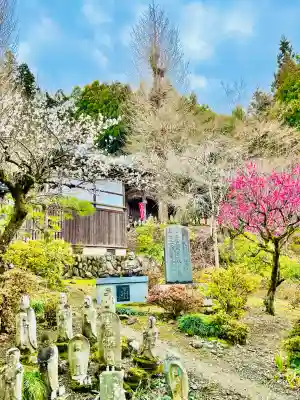 金昌寺の{uncategorized: "未分類", other: "その他", undefined: "問題あり", building: "その他建物", grave: "お墓", sacred_gate: "鳥居", guardian: "狛犬", statue: "像", buddha: "仏像", history: "歴史", nature: "自然", garden: "庭園", animal: "動物", pagoda: "塔", temizu: "手水舎", mountain_gate: "山門・神門", sanctuary: "本殿・本堂", subordinate: "末社・摂社", art: "芸術", scenery: "景色", jizo: "地蔵", ema: "絵馬", goshuin: "御朱印", omikuji: "おみくじ", items: "授与品その他", amulet: "お守り", goshuincho: "御朱印帳", eats: "食事", festival: "お祭り", votive_dance: "神楽", shichigosan: "七五三参", wedding: "結婚式", experience: "体験その他", initially: "初詣", around: "周辺", anti_infection: "感染症対策"}