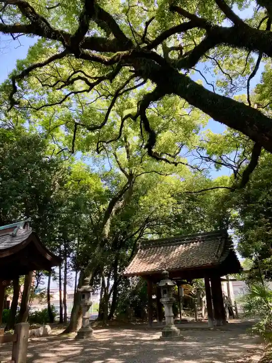 清洲山王宮 日吉神社の自然