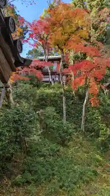 光明寺（粟生光明寺）(京都府)