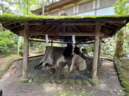 大神神社(奈良県)