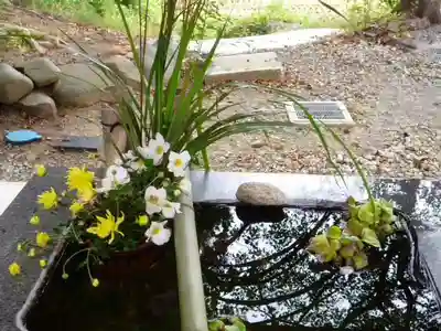高司神社〜むすびの神の鎮まる社〜の手水舎