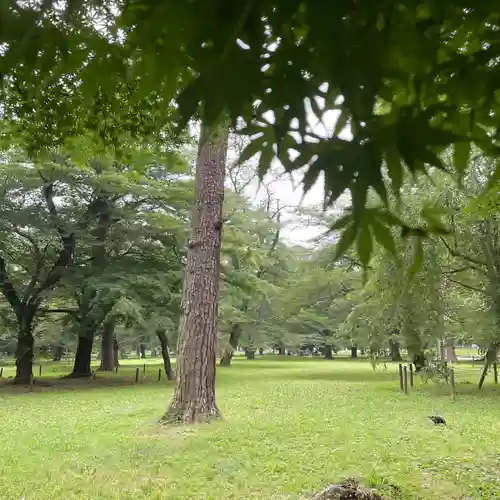 埼玉縣護國神社の周辺