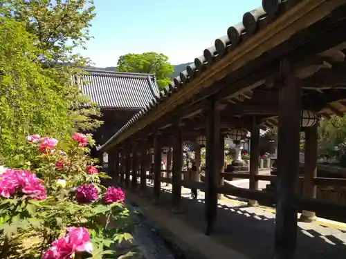 長谷寺(奈良県)