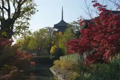 東寺（教王護国寺）(京都府)