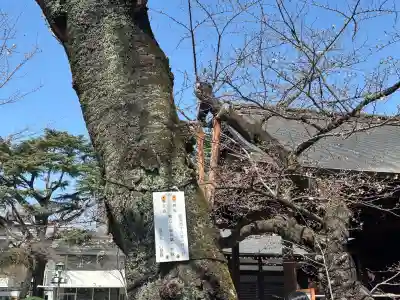 靖國神社(東京都)