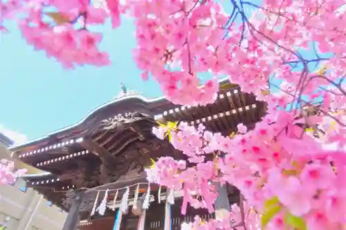 桜神宮(東京都)