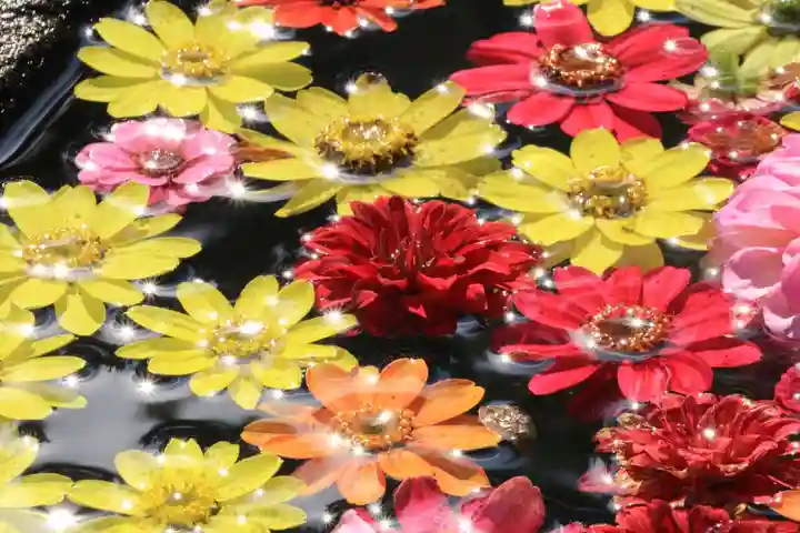 大鏑神社の手水舎