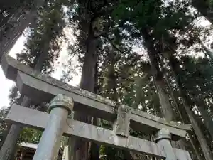 大宮温泉神社(栃木県)(2022年12月26日(月) 10時15分46秒投稿)