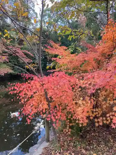 武蔵一宮氷川神社(埼玉県)