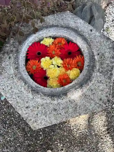 彌都加伎神社の{uncategorized: "未分類", other: "その他", undefined: "問題あり", building: "その他建物", grave: "お墓", sacred_gate: "鳥居", guardian: "狛犬", statue: "像", buddha: "仏像", history: "歴史", nature: "自然", garden: "庭園", animal: "動物", pagoda: "塔", temizu: "手水舎", mountain_gate: "山門・神門", sanctuary: "本殿・本堂", subordinate: "末社・摂社", art: "芸術", scenery: "景色", jizo: "地蔵", ema: "絵馬", goshuin: "御朱印", omikuji: "おみくじ", items: "授与品その他", amulet: "お守り", goshuincho: "御朱印帳", eats: "食事", festival: "お祭り", votive_dance: "神楽", shichigosan: "七五三参", wedding: "結婚式", experience: "体験その他", initially: "初詣", around: "周辺", anti_infection: "感染症対策"}