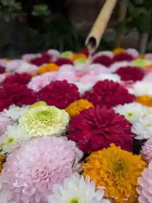 心行寺(東京都)