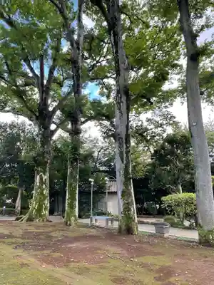 安養院(東京都)