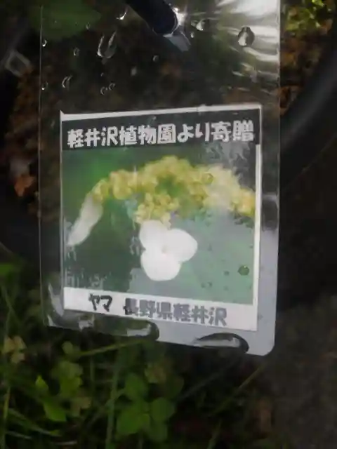 光則寺のその他建物